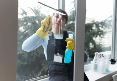 Nettoyage de vitres intérieures et extérieures à Habère-Lullin